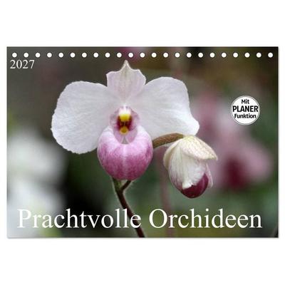 Prachtvolle Orchideen (Tischkalender 2027 DIN A5 quer), CALVENDO Monatskalender