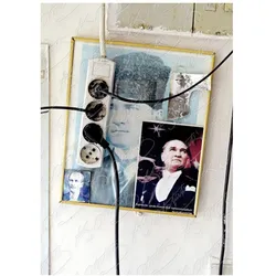 Everybody's Atatürk, Fachbücher von Mine Dal