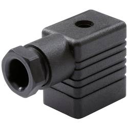 Bürkert Gerätesteckdose 423851 2507 Form B Polzahl: 3 12 - 24 V/DC 1 St.