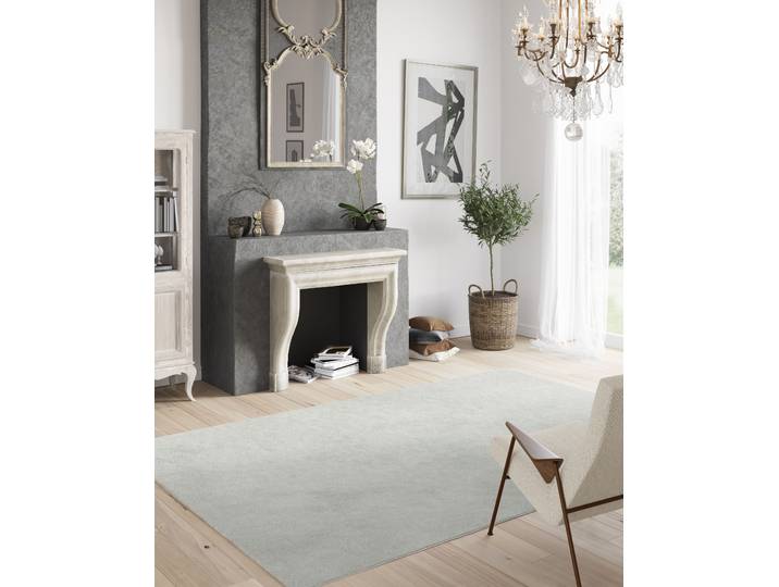 Kurzflorteppich Elya Silber/Silbergrau 200 x 290cm Polypropylen