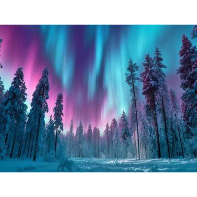 CALVENDO Puzzle Magische Polarlichter am Nordhimmel | 1000 Teile Lege-Größe 64x48cm Foto-Puzzle für glückliche Stunden, Sonstige von , Calvendo Puzzle