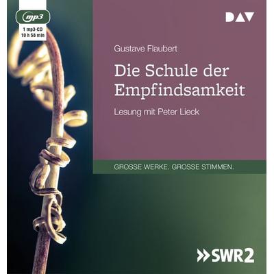 Die Schule der Empfindsamkeit - Gustave Flaubert, Audio, 9783742406859