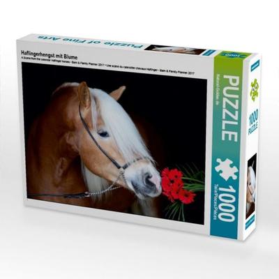 CALVENDO Puzzle Haflingerhengst mit Blume | 1000 Teile Lege-Größe 64x48cm Foto-Puzzle für glückliche Stunden