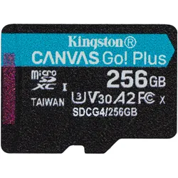 KINGSTON Canvas Go! Plus microSD 256GB ohne Adapter