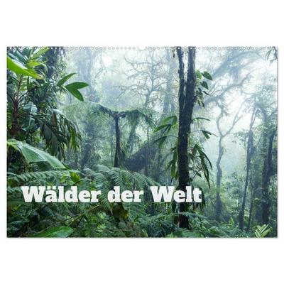 Wälder der Welt (Wandkalender 2026 DIN A2 quer), CALVENDO Monatskalender