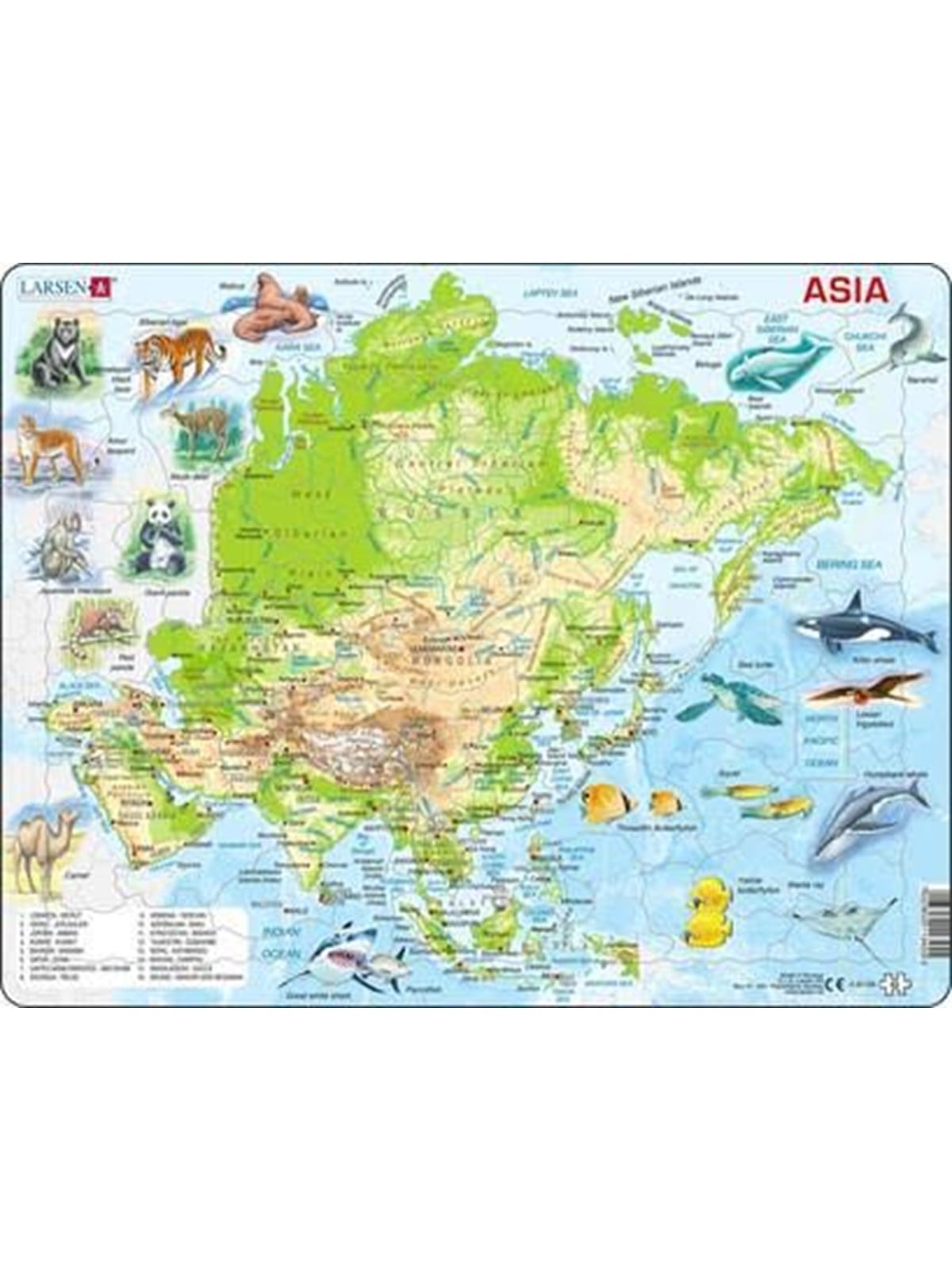 Larsen Puzzles Puzzle Asien topografische Karte - 63-teilig, Max 2D Puzzles