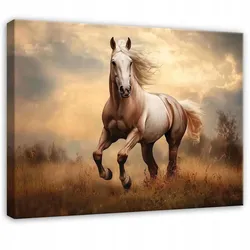WANDBILD Pferde Tiere Schlafzimmer 100x70