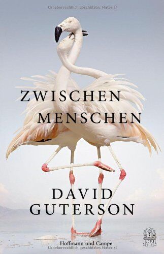 David Guterson - Zwischen Menschen: Erzählungen - Preis vom 11.10.2026 03:10:56 h