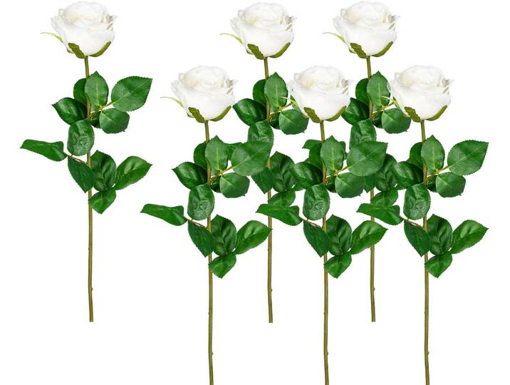 Kunstblume CREATIV GREEN, weiß, H:69cm, Kunststoff, Polyester, Kunstpflanzen, Kunstblume
