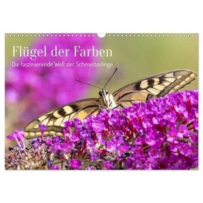 Flügel der Farben – Die faszinierende Welt der Schmetterlinge (Wandkalender 2027 DIN A3 quer), CALVENDO Monatskalender