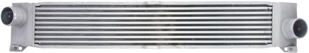 Thermotec Intercooler DAF004TT