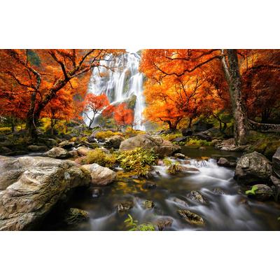 Fototapete PAPERMOON "WASSERFALL-HERBST WALD BÄUME STEINE FLUSS LANDSCHAFT", bunt, B:4m L:2,6m, Vlies, Tapeten