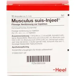 MUSCULUS SUIS Injeel Ampullen 10 St Ampullen