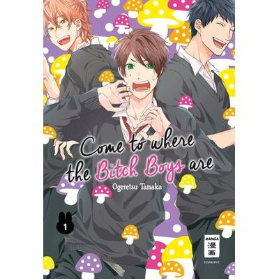 Come to where the Bitch Boys are 01, Taschenbuch von Ogeretsu Tanaka, Egmont Manga