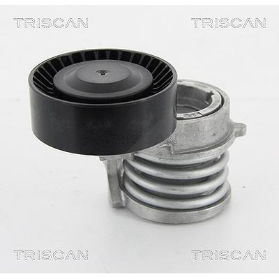 Triscan Spannarm, Keilrippenriemen [Hersteller-Nr. 8641113016] für BMW