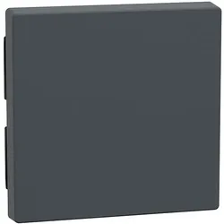 Merten Wippe anth 433114