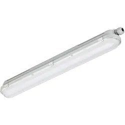 Philips, Feuchtraumleuchte, 865 Kühles Tageslicht-elektronisches 36933499 (4000 lm)