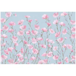 FOTOTAPETE Blumen Wiese Rosa 250x175 cm