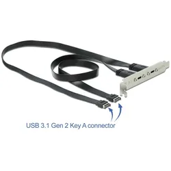 DELOCK USB 3.1 Gen 2 Slotblech mit 2 x USB Type-C Port