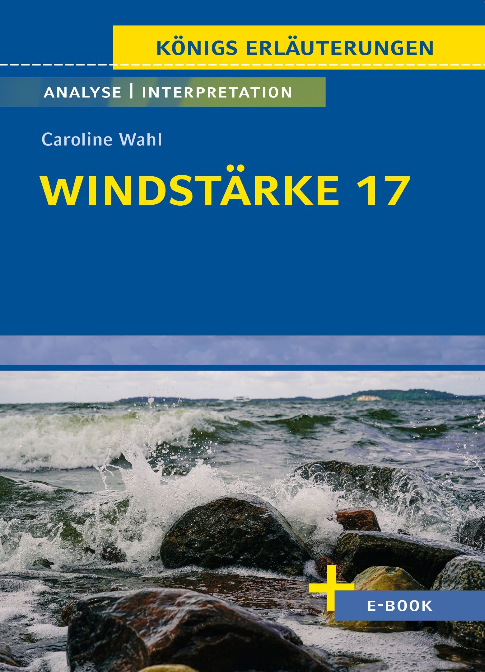Pons / Klett Lerntraining Windstärke 17 von Caroline Wahl