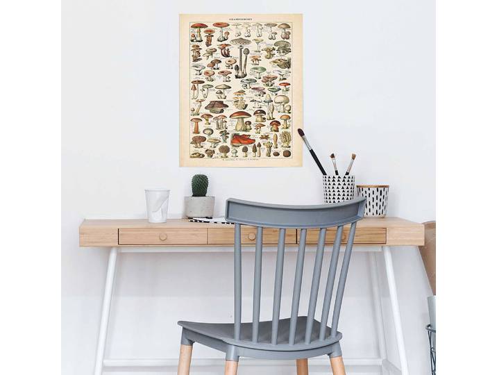 Poster Champignons Papier Beige 40 x 50 x 0cm