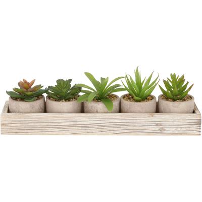 Kunstpflanze CREATIV GREEN "Sukkulenten", grün, H:9cm, Kunststoff, Kunstpflanzen, Kunstpflanze, mit verschiedenen Sukkulenten