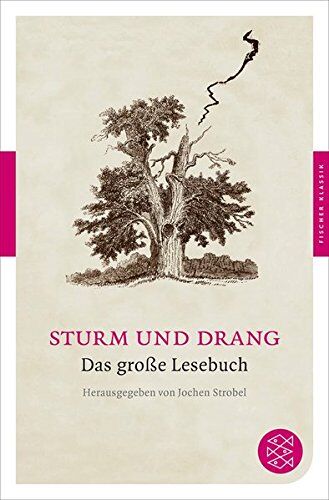 Jochen Strobel - Sturm und Drang: Das große Lesebuch (Fischer Klassik) - Preis vom 15.10.2026 23:06:25 h