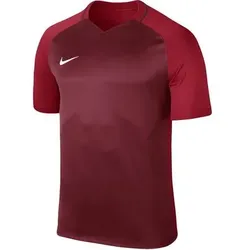 NIKE Kinder Trikots/Teamtrikots ku.Arm Ki Y NK DRY TROPHY III JSY SS, Größe XS in Rot Rot
