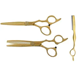e-Kwip Harmony Set matt-gold