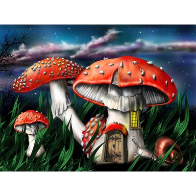 Papermoon "Zauberpilze"