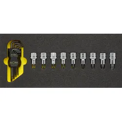 TORX®-Werkzeugsatz, 17-teilig, ELORA-OMS-18
