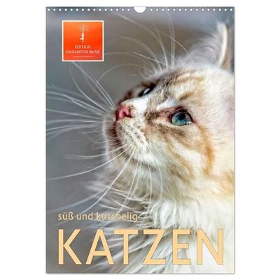 Katzen - süß und kuschelig (Wandkalender 2027 DIN A3 hoch), CALVENDO Monatskalender