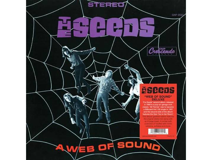 A Web Of Sound