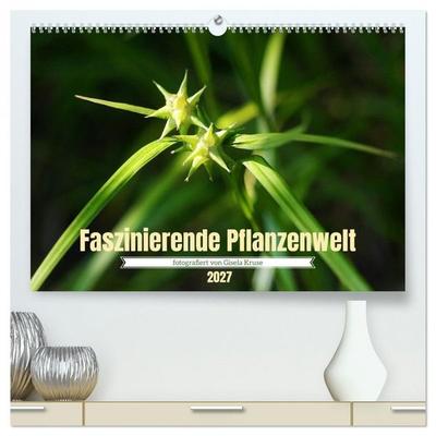 Faszinierende Pflanzenwelt (hochwertiger Premium Wandkalender 2027 DIN A2 quer), Kunstdruck in Hochglanz