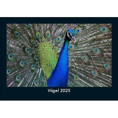 Vögel 2025 Fotokalender DIN A5