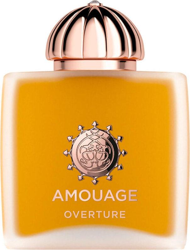 Amouage Amouage Overture Woman Eau De Parfum 100 ml (woman)