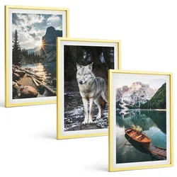 BILDER SET 3er Set - 40x60 cm Goldrahmen - Berge, Seen, Wölfe, Natur
