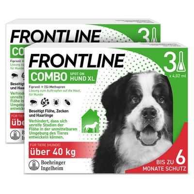 Frontline Combo Spot on gegen Flöhe und Zecken Hund XL über 40kg 2x3 St Einzeldosispipetten