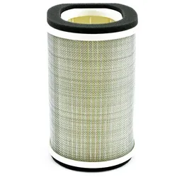 MIW Luftfilter Y4245 für Yamaha FJR 1300