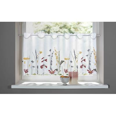 Scheibengardine OTTO HOME "Bille, 1 Stück, transparent, einseitige Stickerei, Blumen" Gr. 4, bunt, B:120cm H:45cm, Voile, Polyester, Gardinen, transparent, mit einseitiger Stickerei, waschbar, Blumen