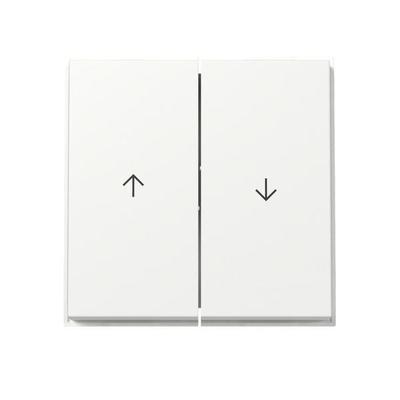 Gira Wippe 2f Pfeil 329466