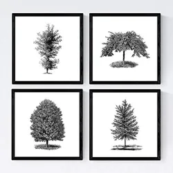 POSTER Set mit 4 Bädern Zierbäume weißer Hintergrund 30x30 cm Rahmenlos