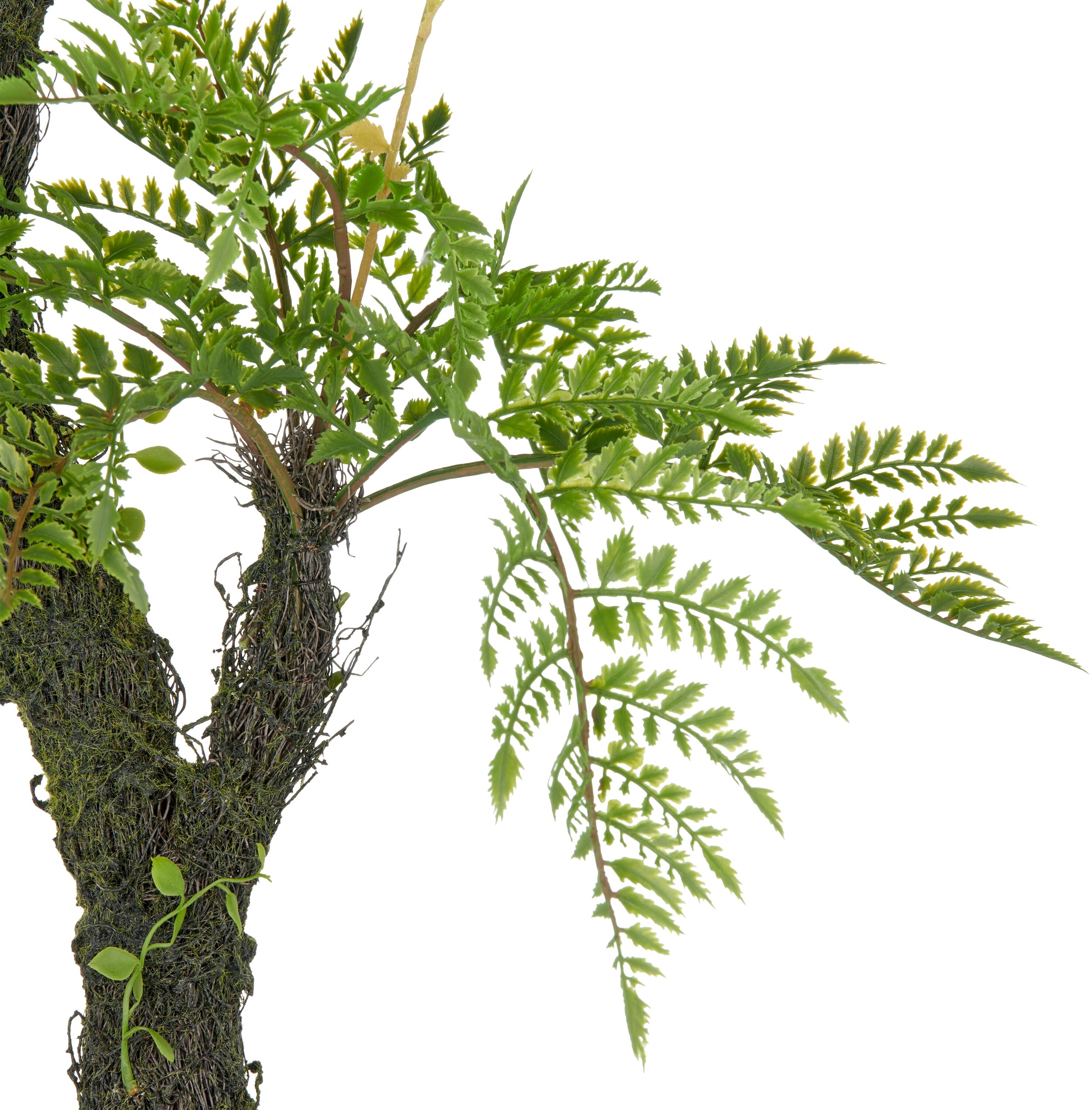 Kunstpflanze CREATIV GREEN "Baumfarn", grün, H:80cm, Kunststoff, Kunstpflanzen, Kunstpflanze, an Moosstamm