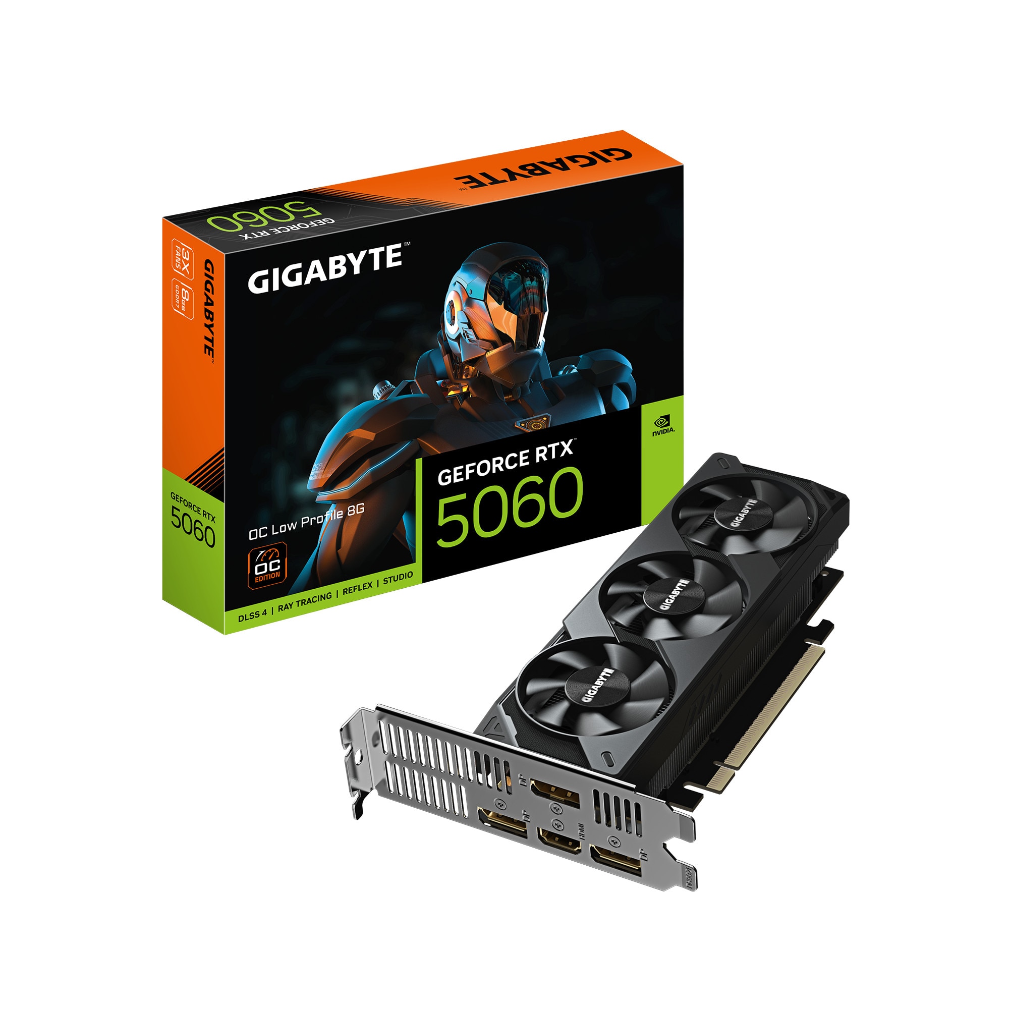 GIGABYTE GeForce RTX 5060 Low Profile OC Grafikkarte 8 GB