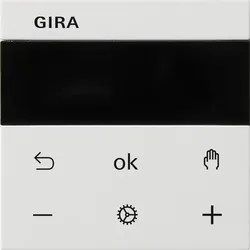 Gira RTR Display 539327
