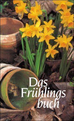 Hans Bender - Die vier Jahreszeiten-Bücher. Gedichte und Prosa: Das Frühlingsbuch: Gedichte und Prosa (insel taschenbuch) - Preis vom 09.10.2026 07:28:09 h