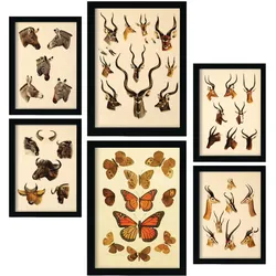 POSTER Set Mit 6 Tiere In Vintage A3 & A4 Rahmenlos