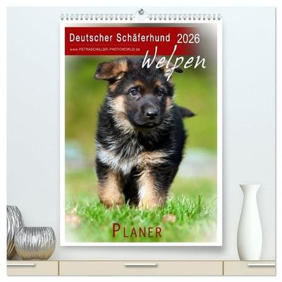 Deutscher Schäferhund - Welpen, Planer (hochwertiger Premium Wandkalender 2026 DIN A2 hoch), Kunstdruck in Hochglanz