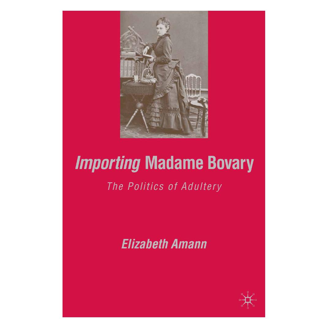 Springer Importing Madame Bovary (Englisch, Softcover, E. Amann) (55845197)