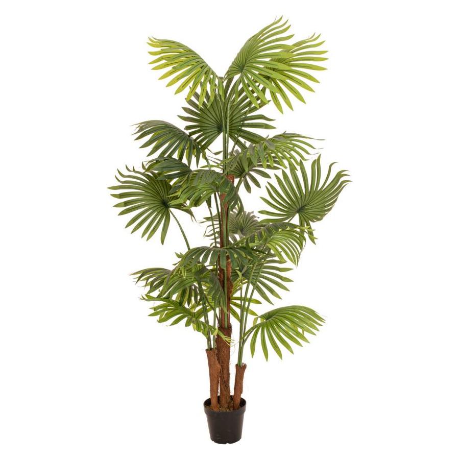 Europalms Fächerpalme, Kunstpflanze, 165cm (165 cm) (82509305)